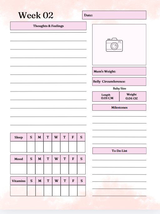My Pregnancy Journal