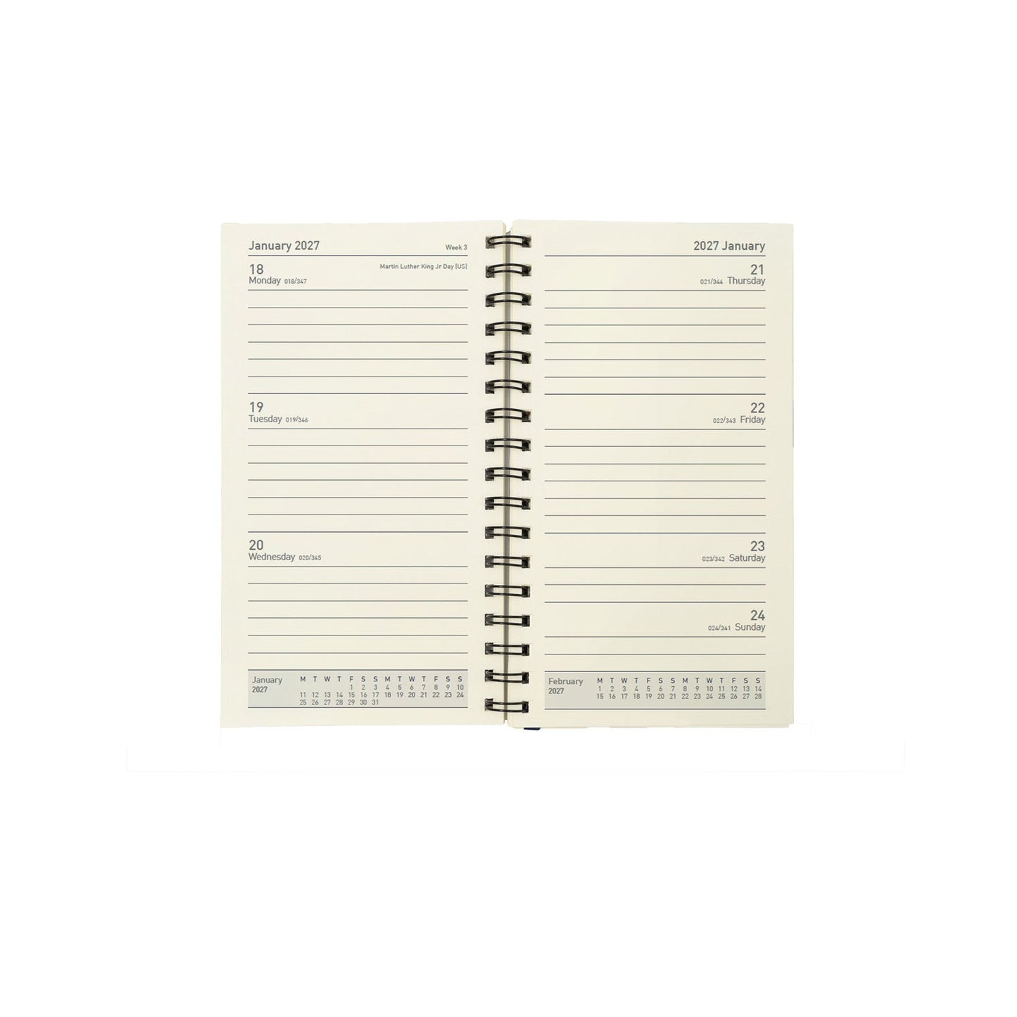 13 Month Week-to-View Diary