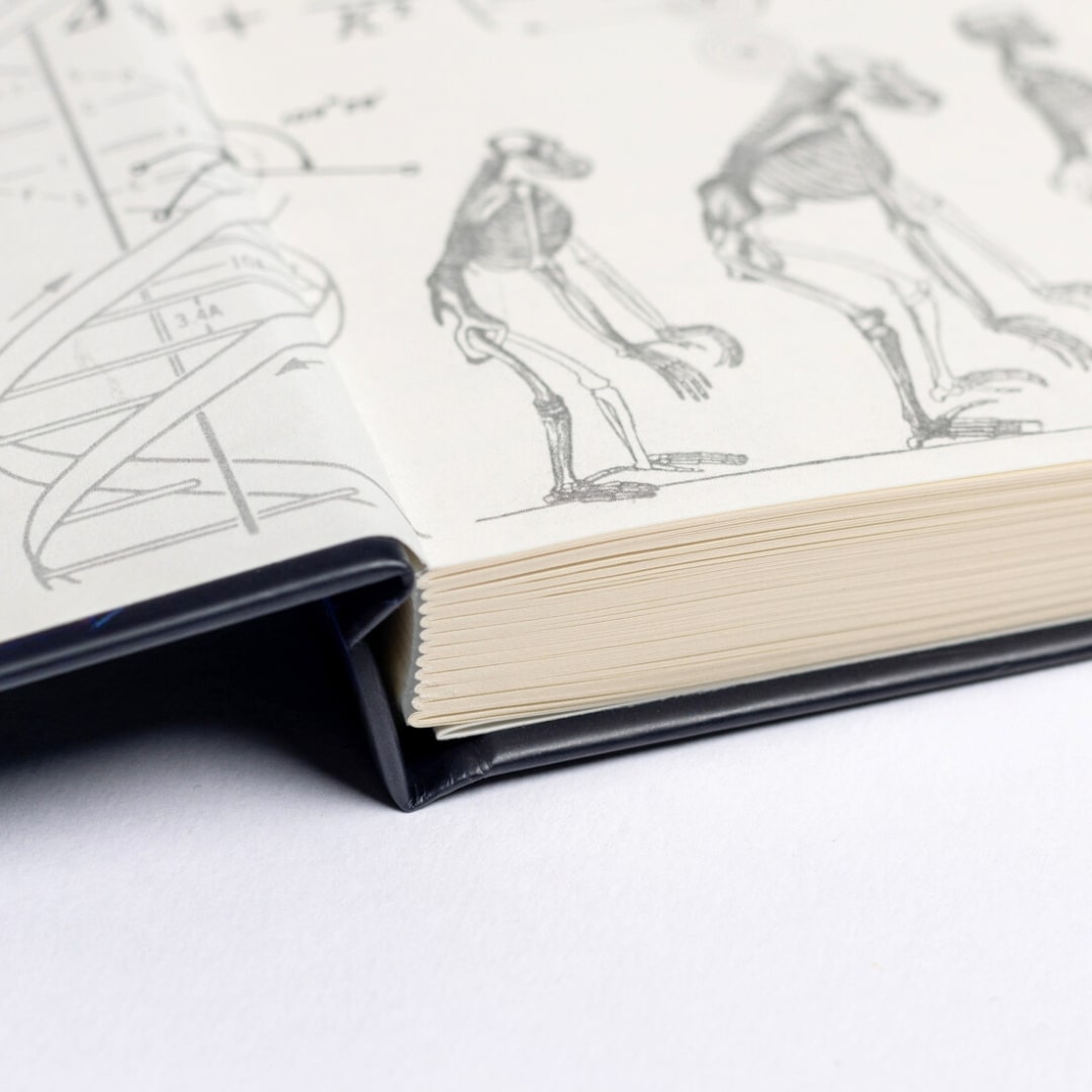 Undated Yearly Planner - Red