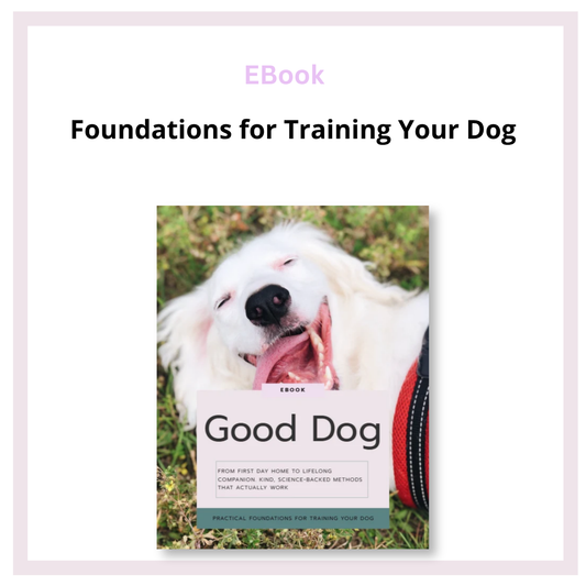 Foundations for Training Your Dog