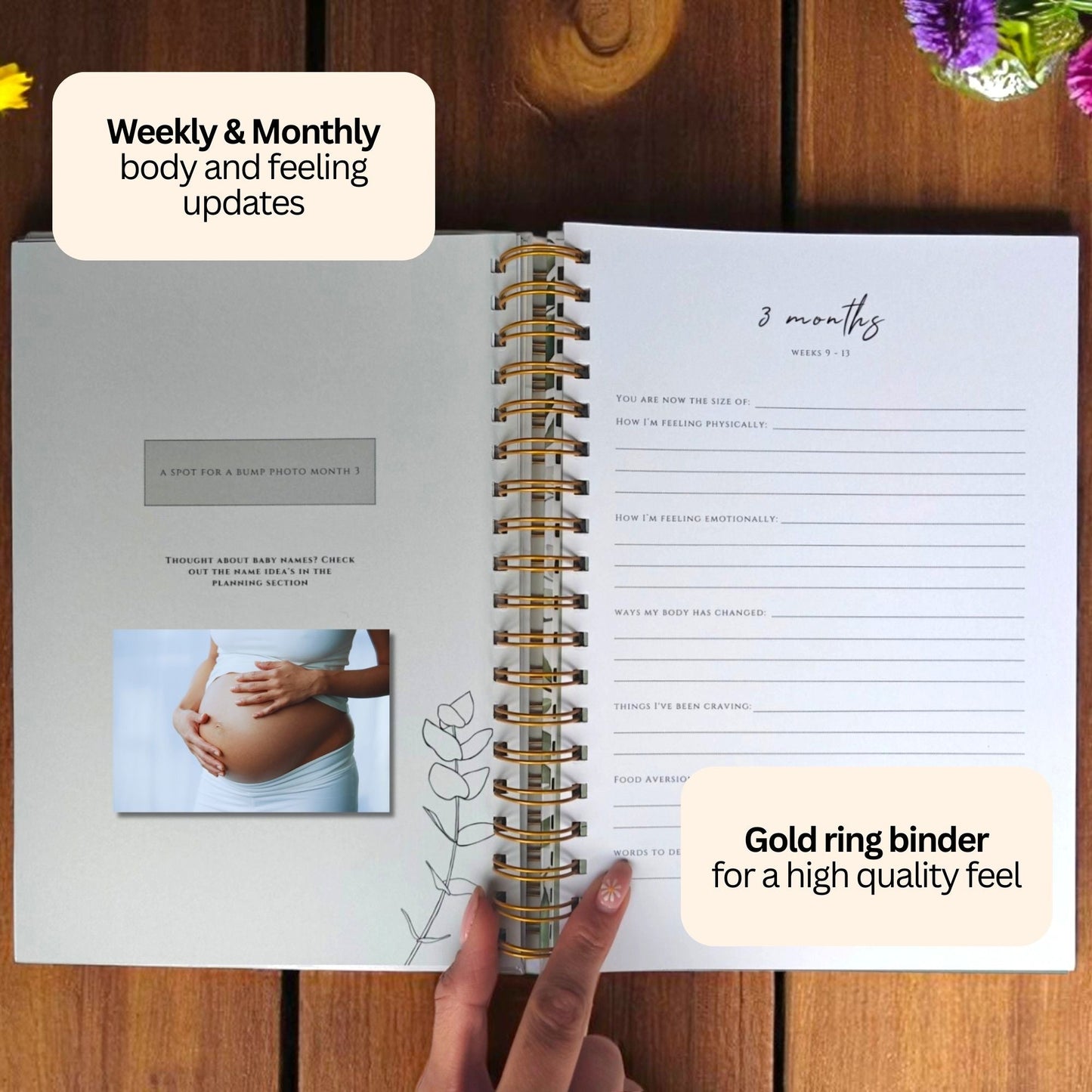 Pregnancy Memory Book