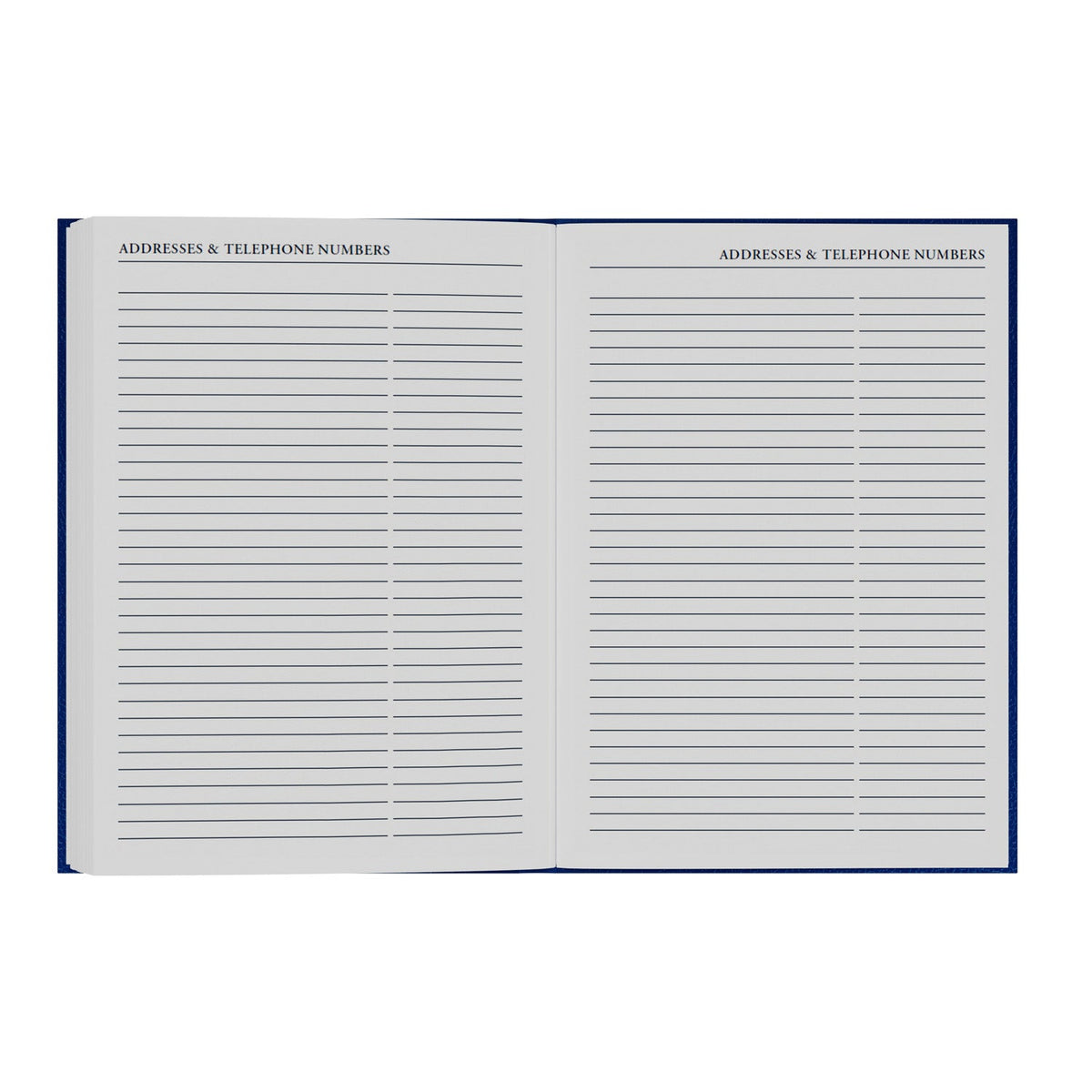 2026-2027 - Mid Year Planner
