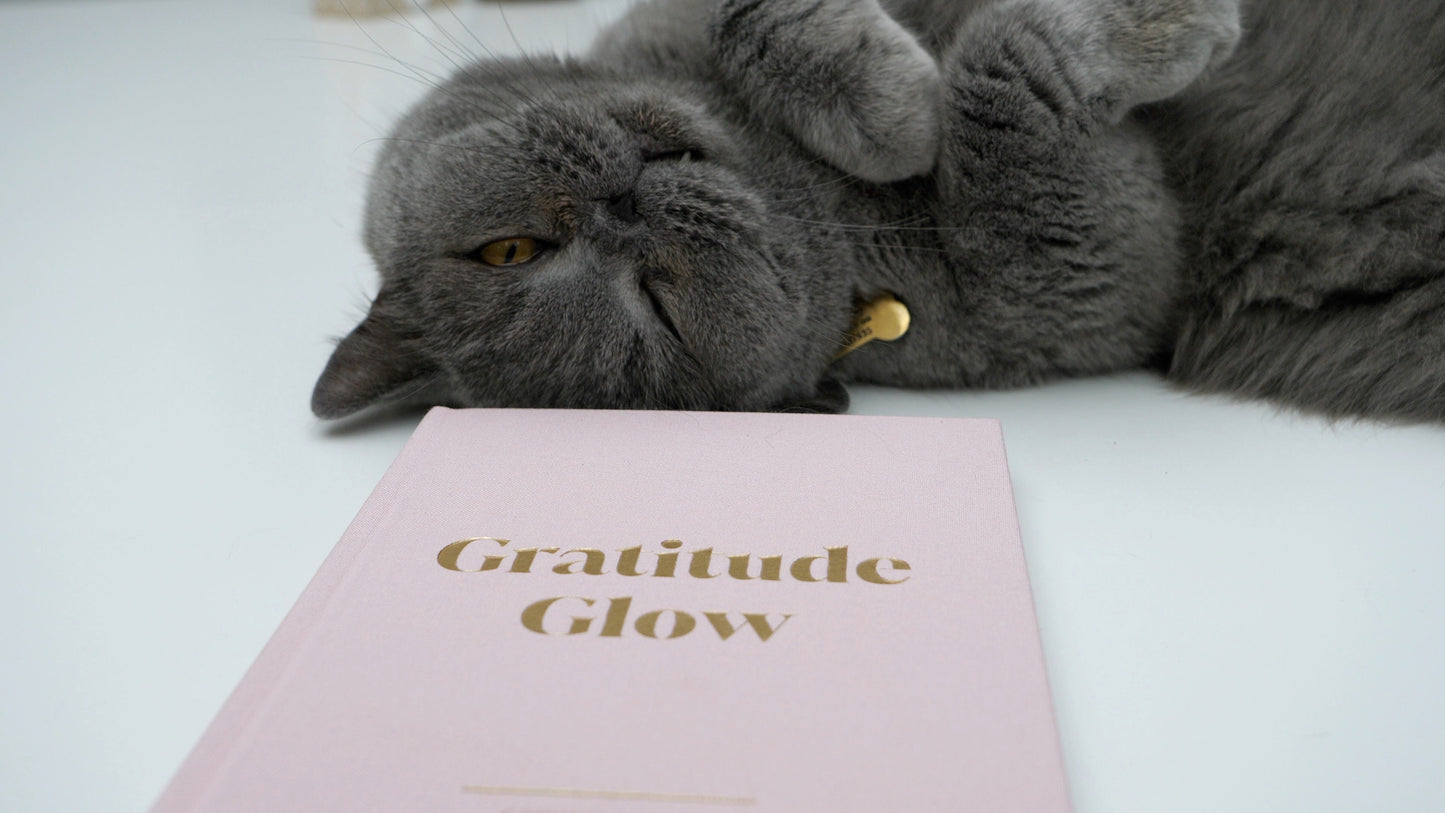 Gratitude Glow Journal