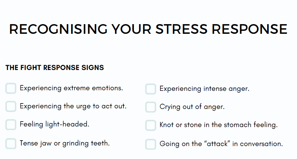 PTSD Workbook | Printable Trauma Recovery Journal & Mental Wellbeing PDF