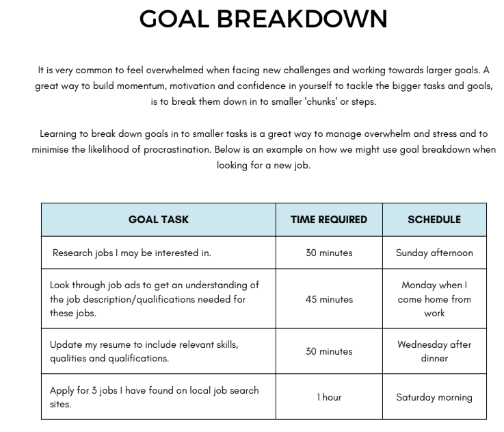 Procrastination & Productivity Workbook | Printable Time Management & Executive Function Worksheets PDF