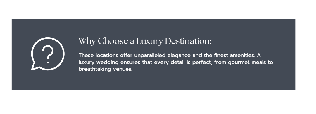 Destination Wedding Planner Book