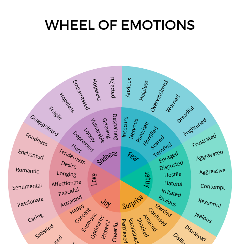 Emotional Intelligence