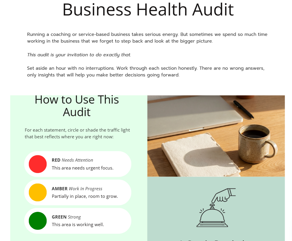 Business Health Audit Workbook
