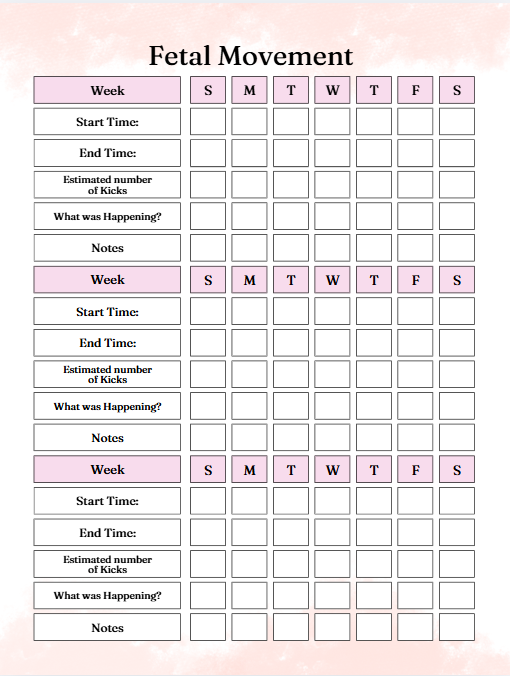 My Pregnancy Journal