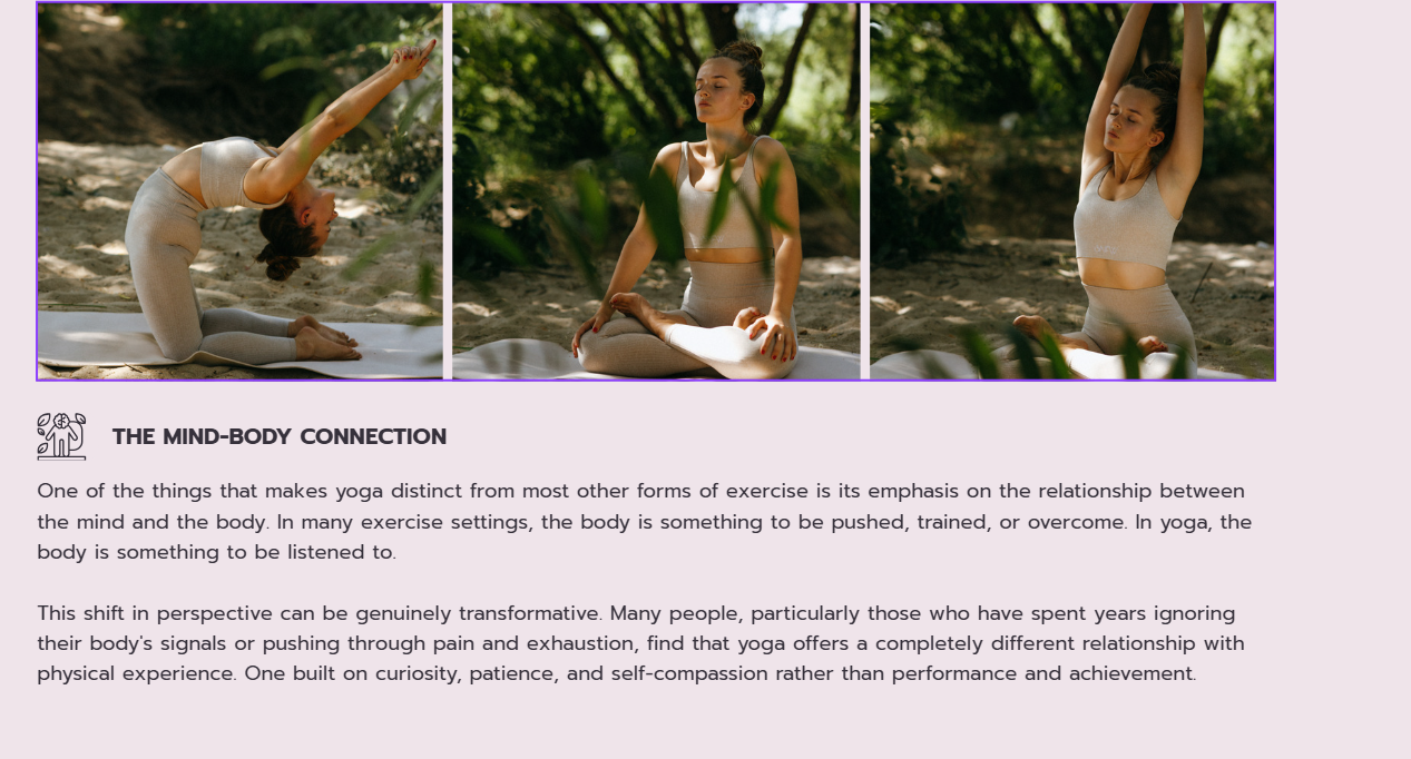 A Beginner's Guide to Yoga