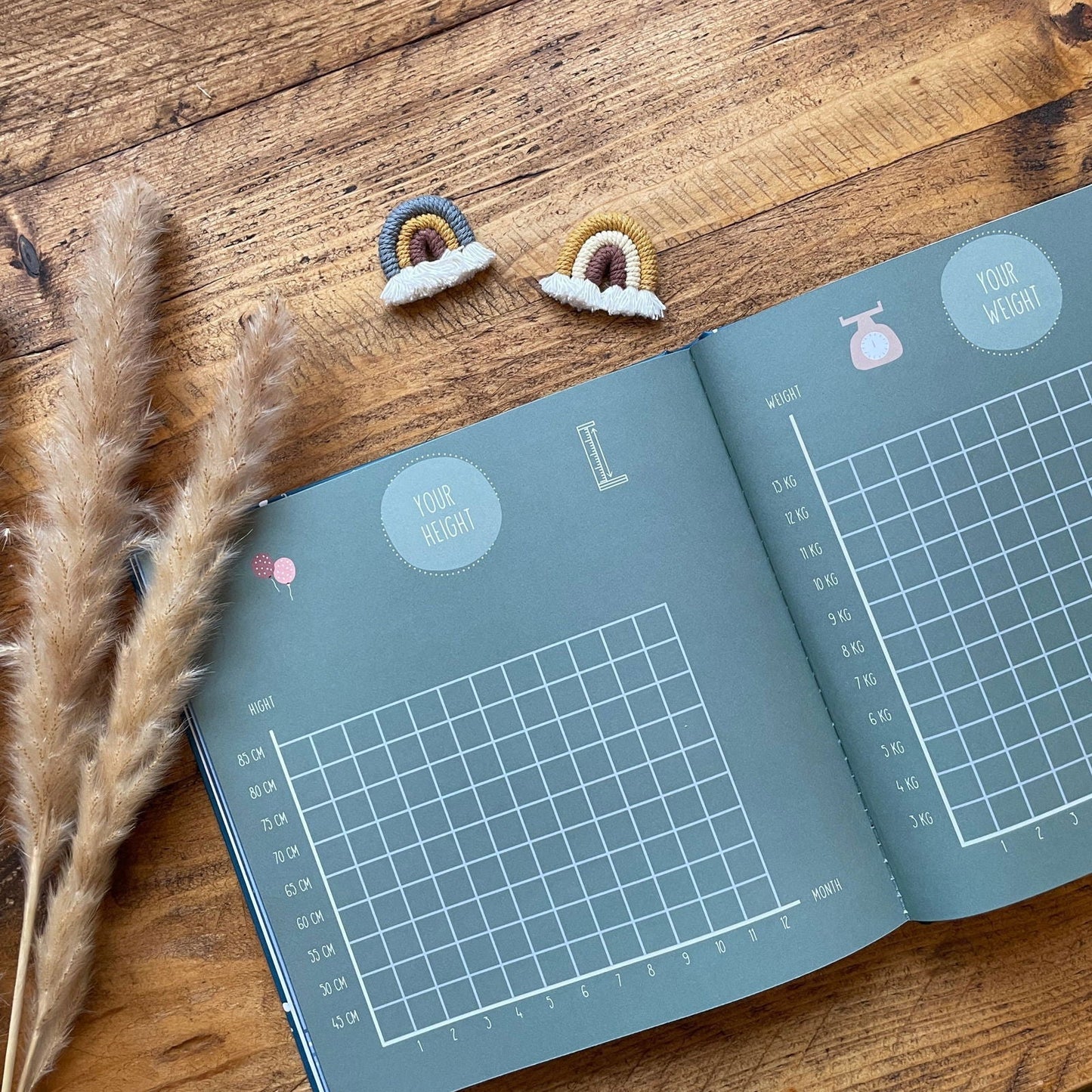 Your First Year - Baby Memory Book