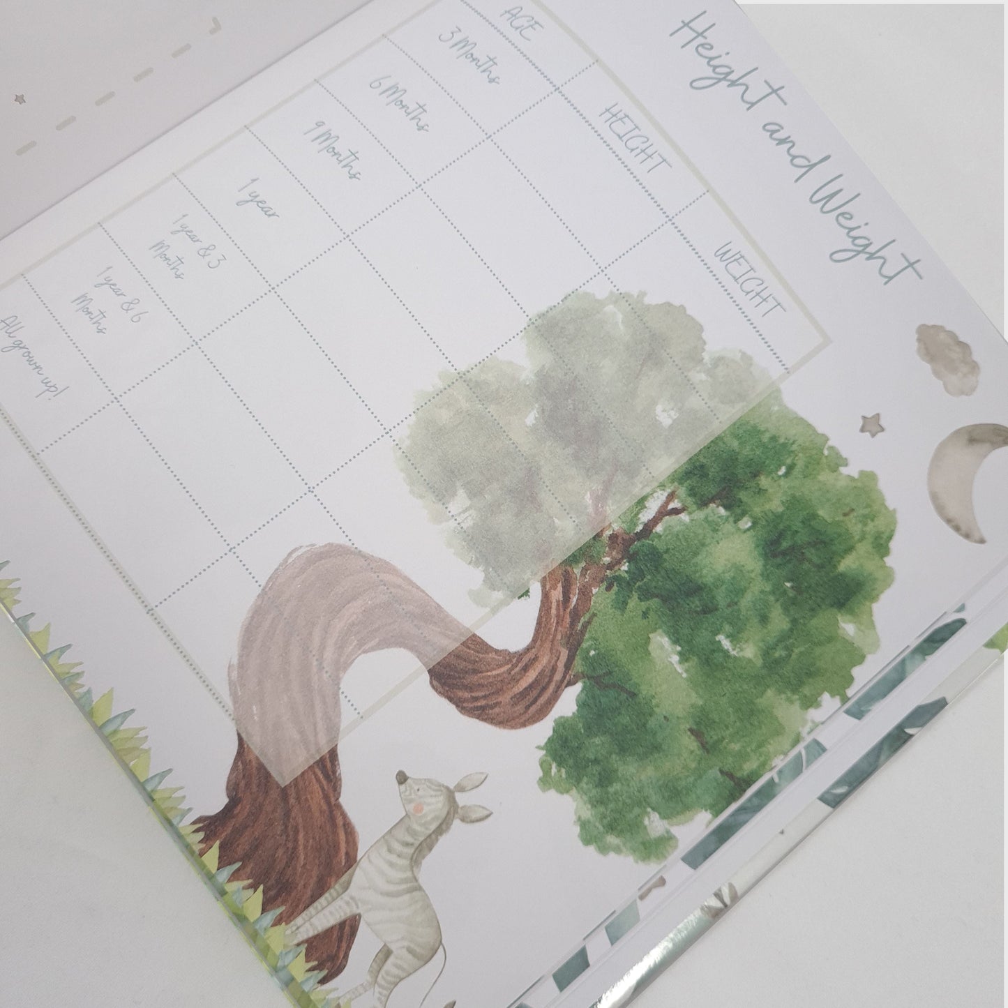 Baby's First Year Milestones