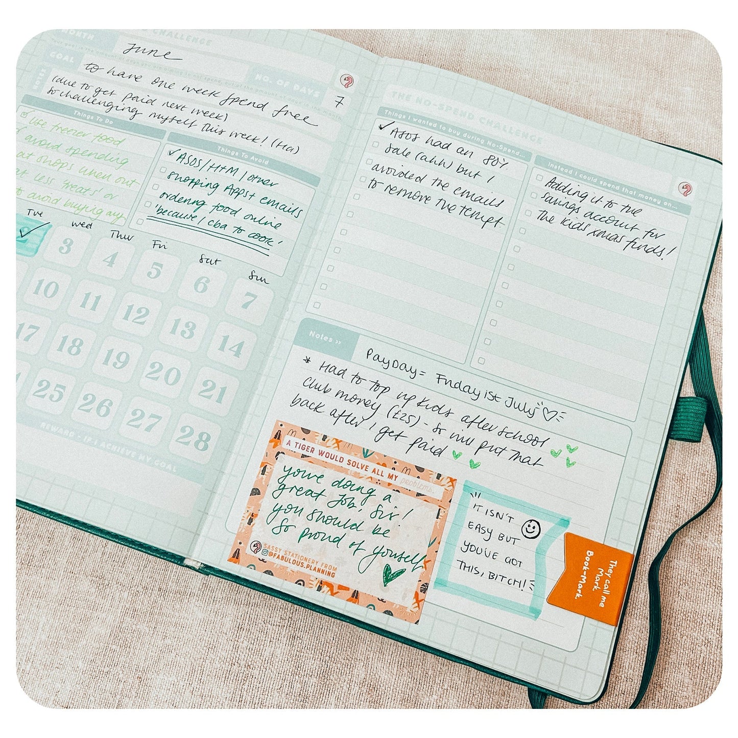 Deluxe Budget Journal